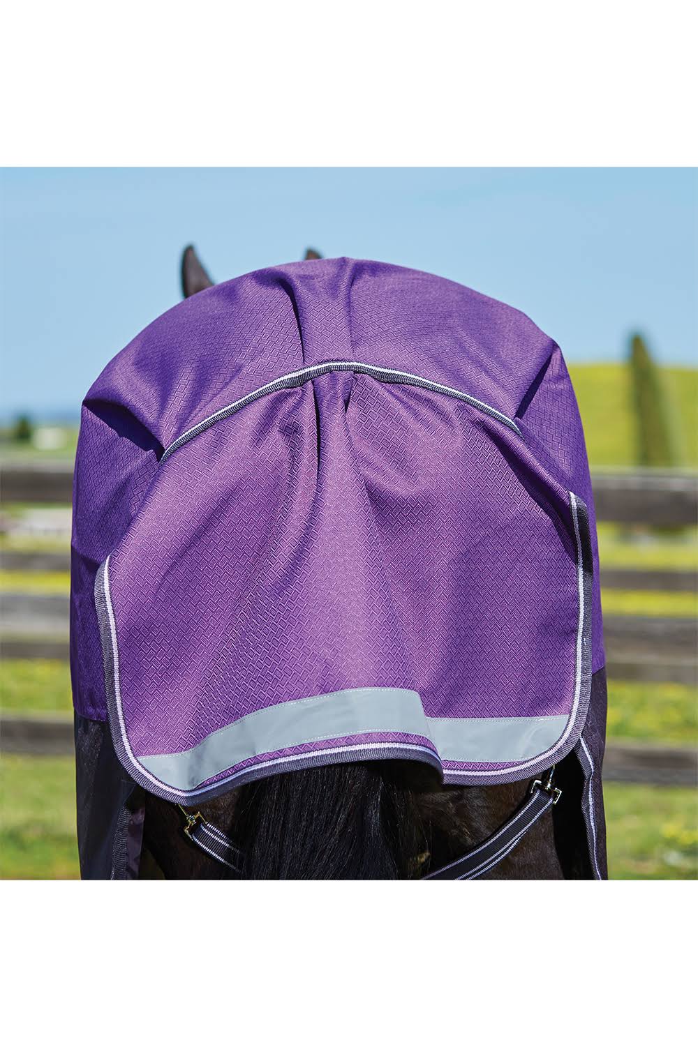 Purple Medium Lite Standard Neck Horse Blanket L38910