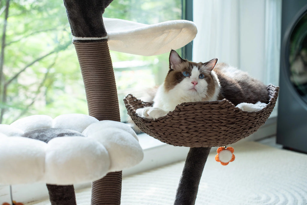 Natural Blossom Flower Woven Tree Branches Large Cat Tree 6-Level Cat Tower with Hammock Foam-Padded Perches Basket Y5236