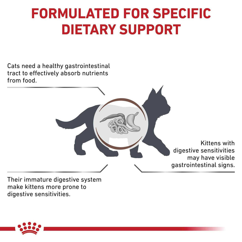 Kitten Dry Cat Food B88430
