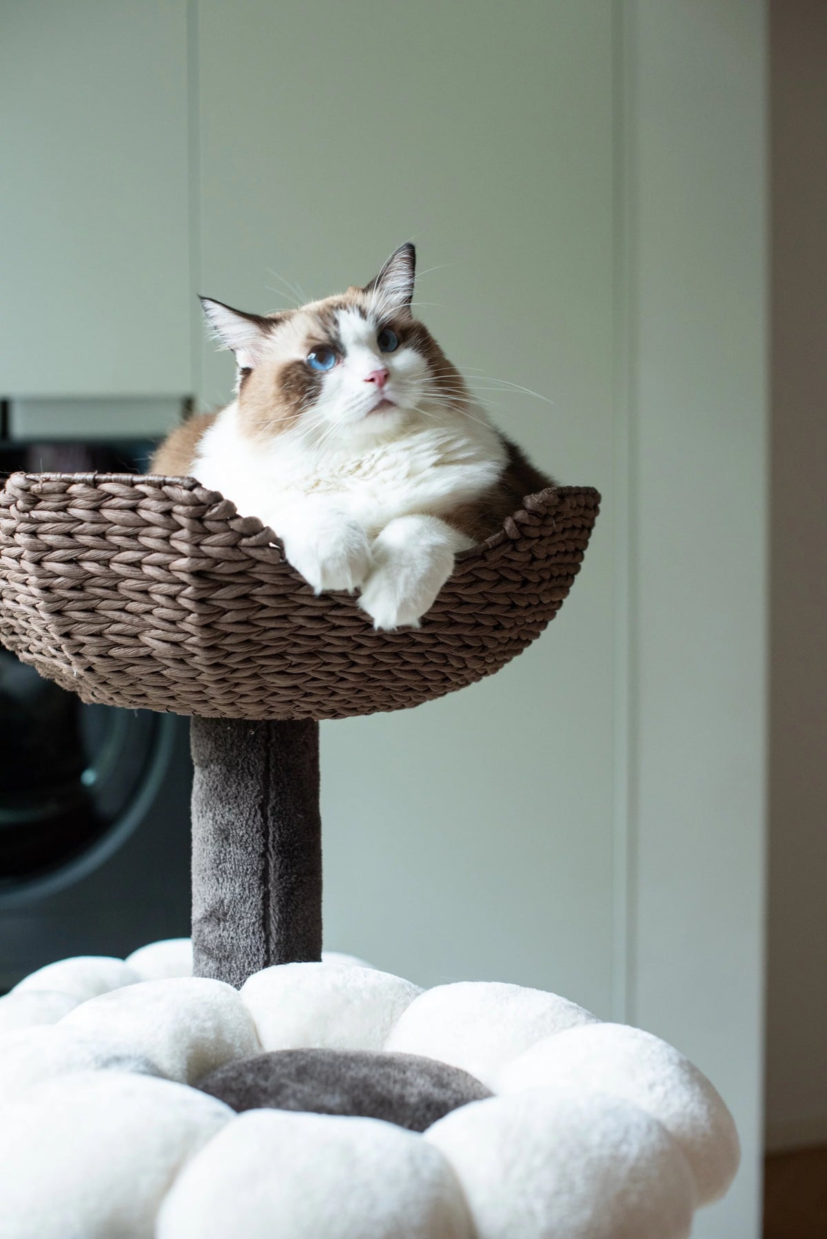 Natural Blossom Flower Woven Tree Branches Large Cat Tree 6-Level Cat Tower with Hammock Foam-Padded Perches Basket Y5236