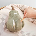 Snuffle Gourd Dog Toy A3713