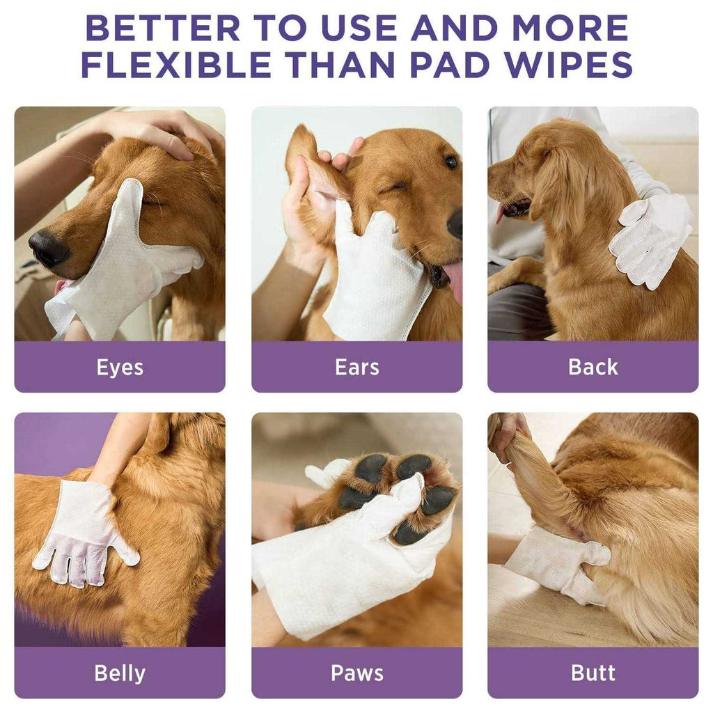 Deodorizing Pet Glove Wipes 20 pc I927