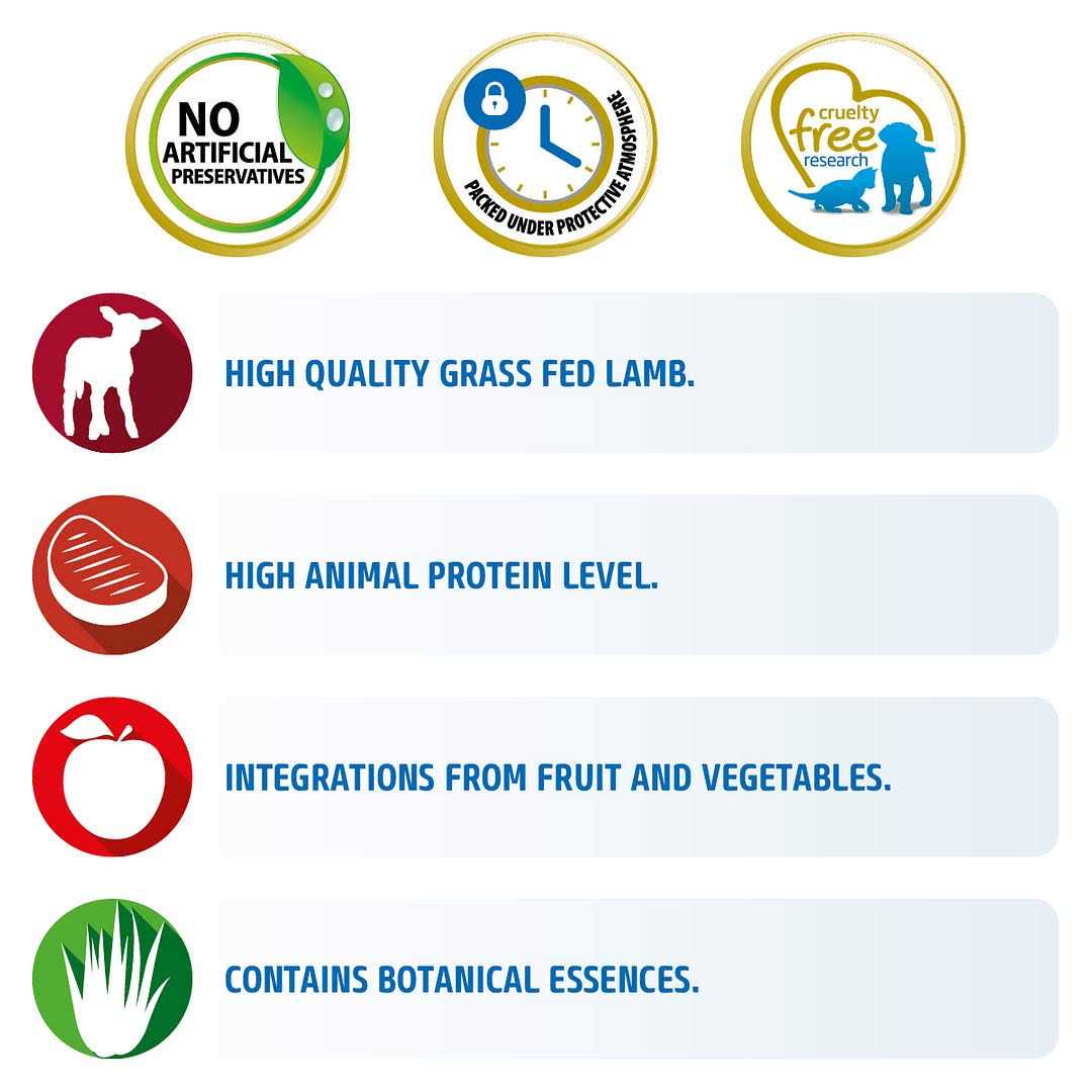 Grain Free Lamb & Blueberry Dry Cat Food H846872