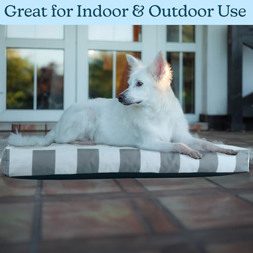 Indoor/Outdoor Dog Bed with Removable Washable Cover B433110