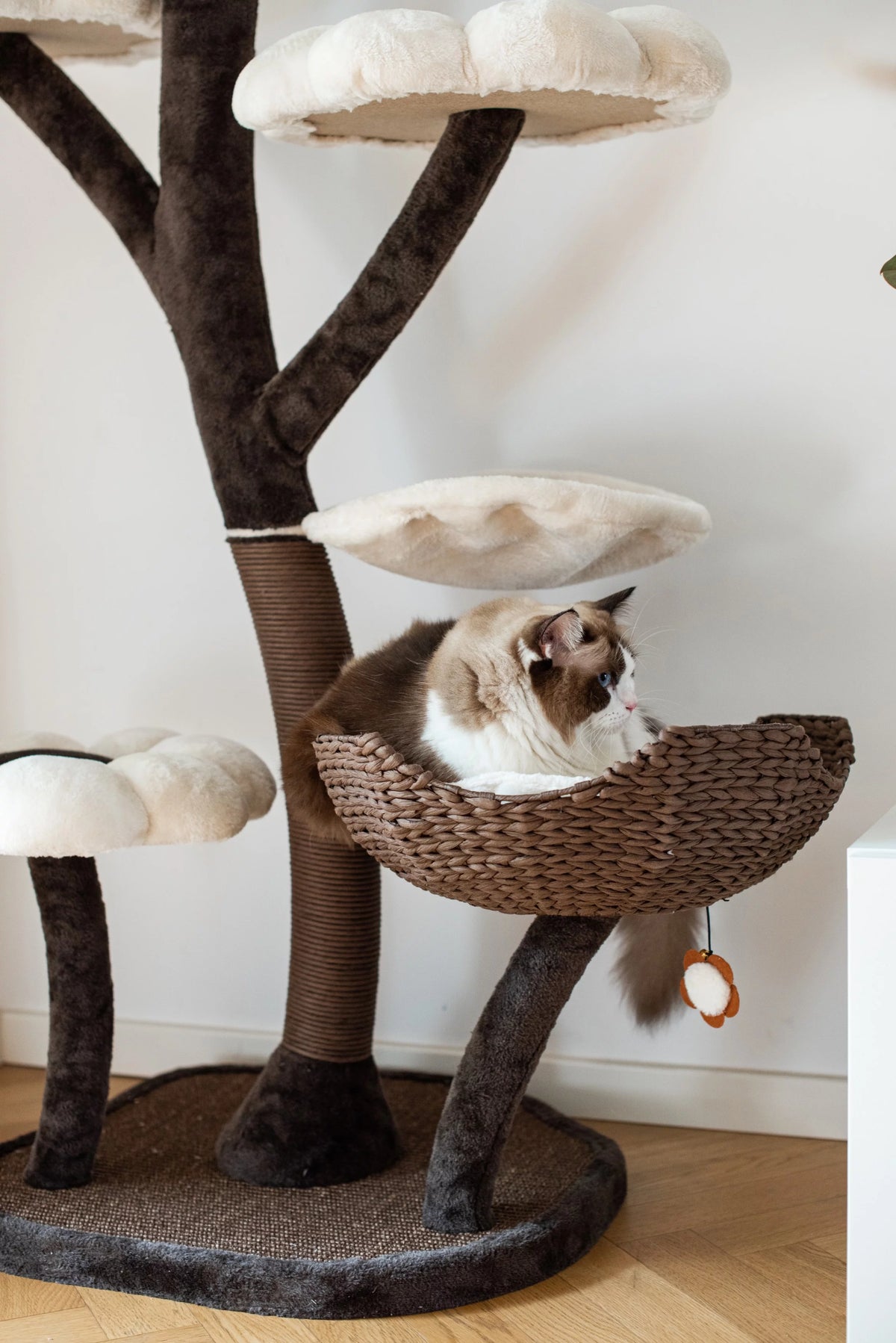 Natural Blossom Flower Woven Tree Branches Large Cat Tree 6-Level Cat Tower with Hammock Foam-Padded Perches Basket Y5236