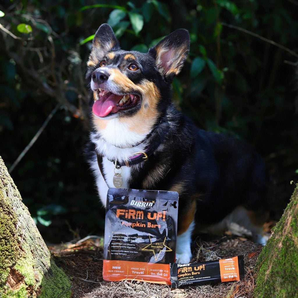 Dog Supplement N65445