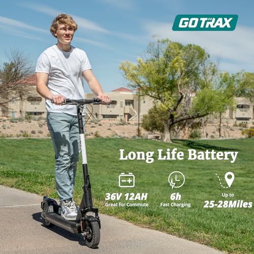 8.5" Solid Tire Electric Scooter T637503
