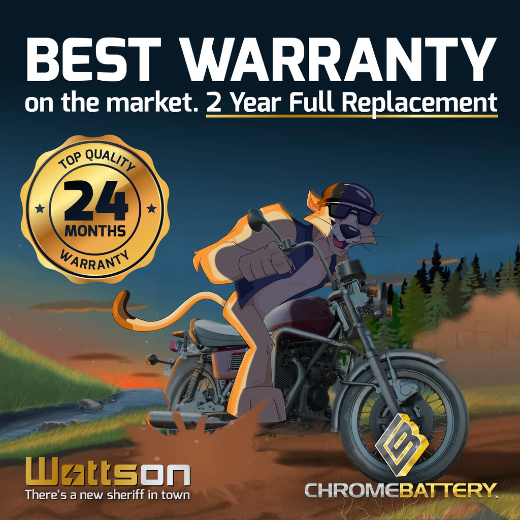 12 Volt 14 Ah 230 CCA ATV Battery A154