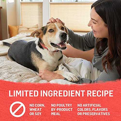 Grain Free Beef Potato & Green Bean Recipe Ground Entree Wet Dog Food 13 Ounce F4161