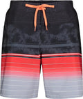 Men's Quick-Dry Swim Shorts R5775