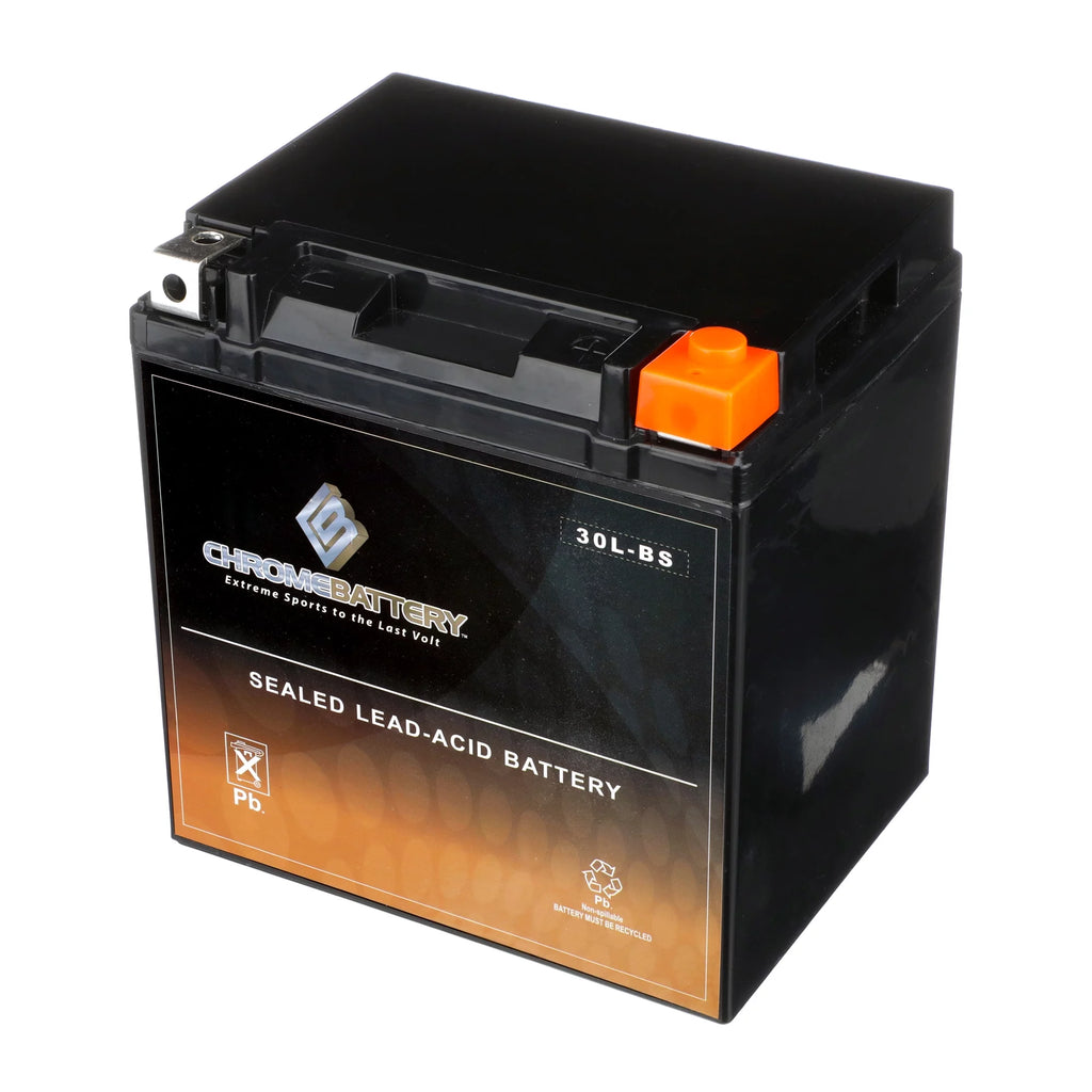 Ytx30L-Bs Battery X177176