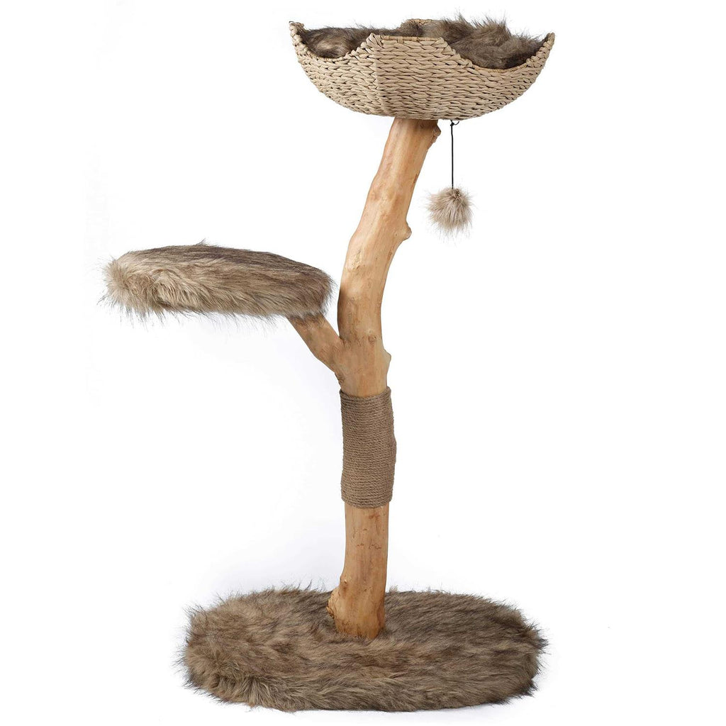 Cat Tree O22275