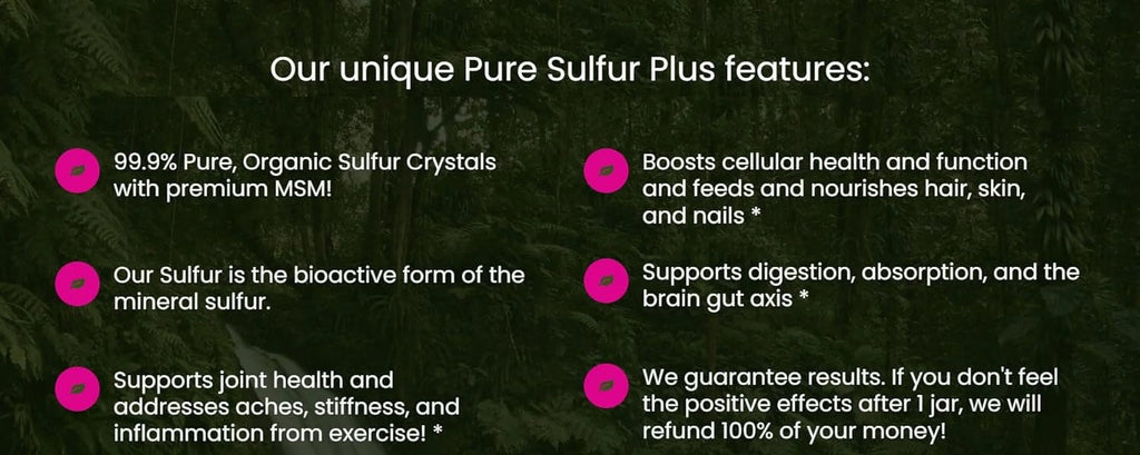 Pure Sulfur-60 Servings V7241
