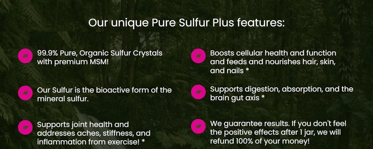 Pure Sulfur-60 Servings V7241