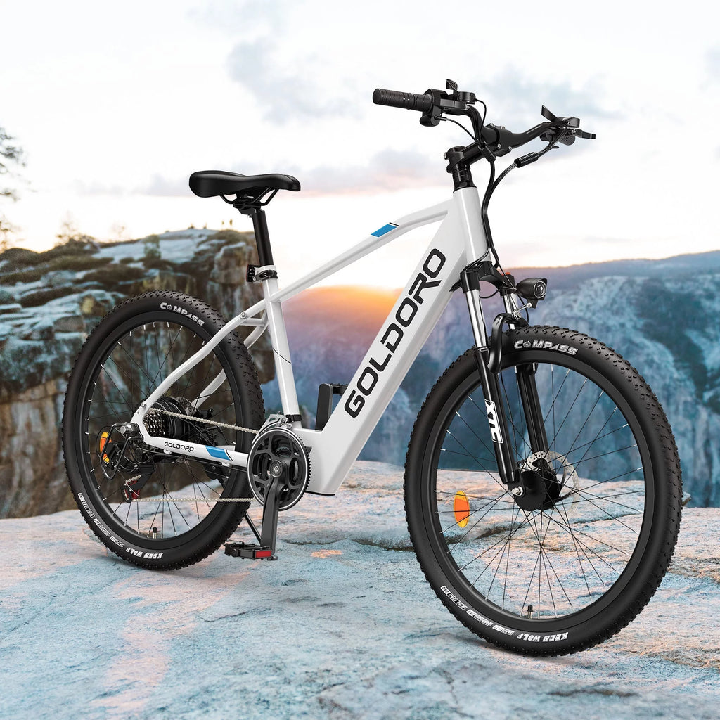 Electric Bike 26" Aluminum Alloy Mountain Bike 250W 21 Speed M9785