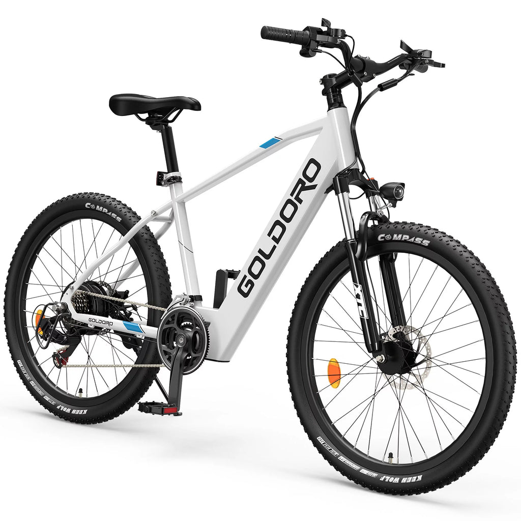 Electric Bike 26" Aluminum Alloy Mountain Bike 250W 21 Speed M9785
