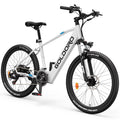 Electric Bike 26" Aluminum Alloy Mountain Bike 250W 21 Speed M9785