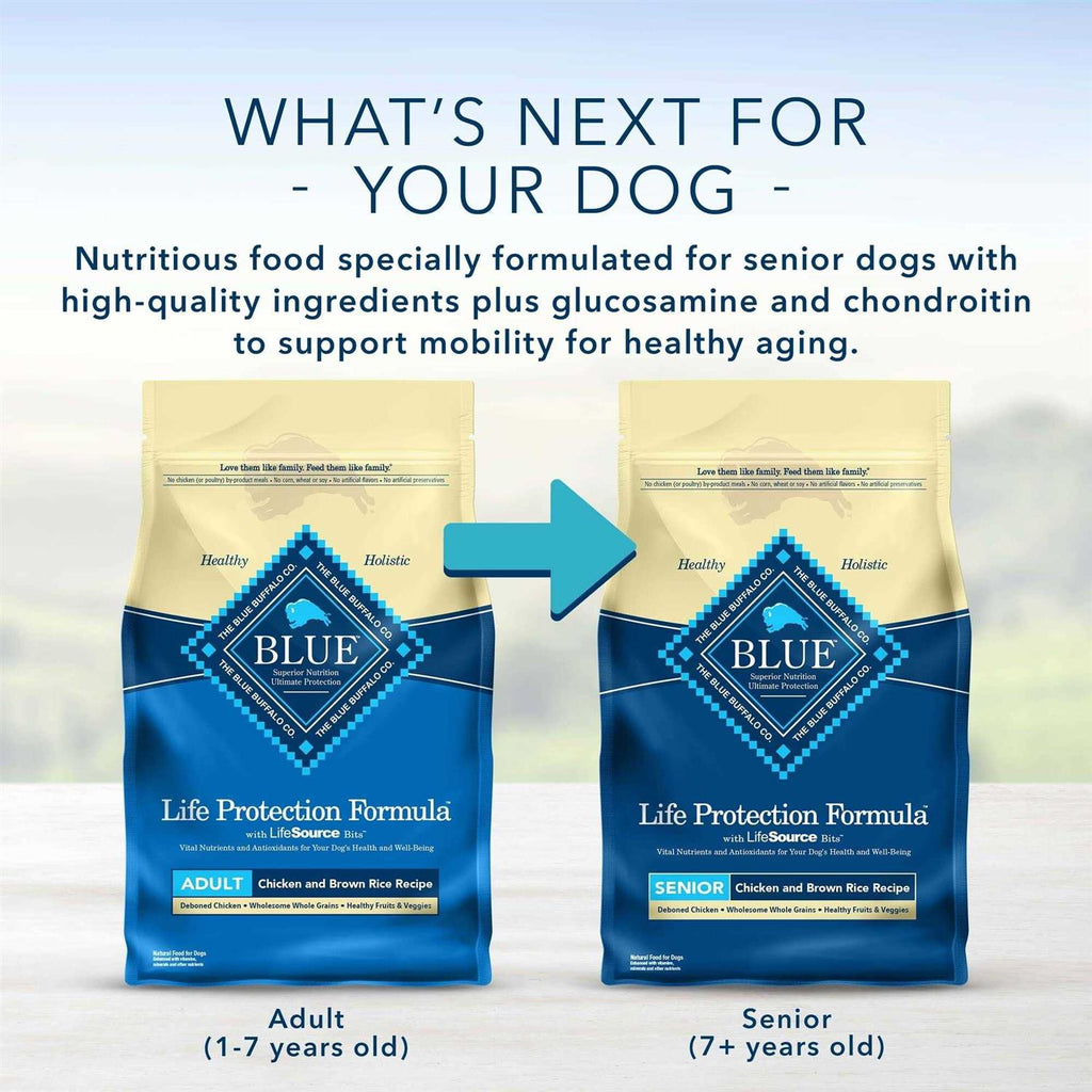 Adult Dry Dog Food Chicken and Brown Rice K338