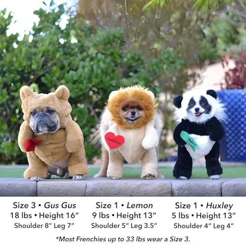 Dog Halloween Costume with Arms for Small and Medium Dogs and Cats S1560
