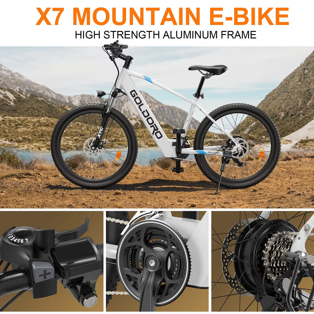 Electric Bike 26" Aluminum Alloy Mountain Bike 250W 21 Speed M9785