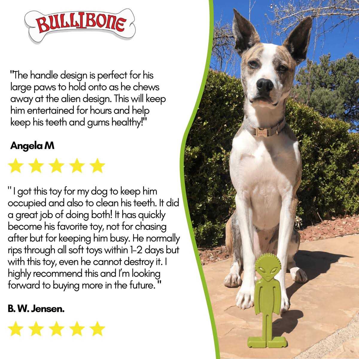 Small Dog Chew Toy with Easy Hold Grips M21141