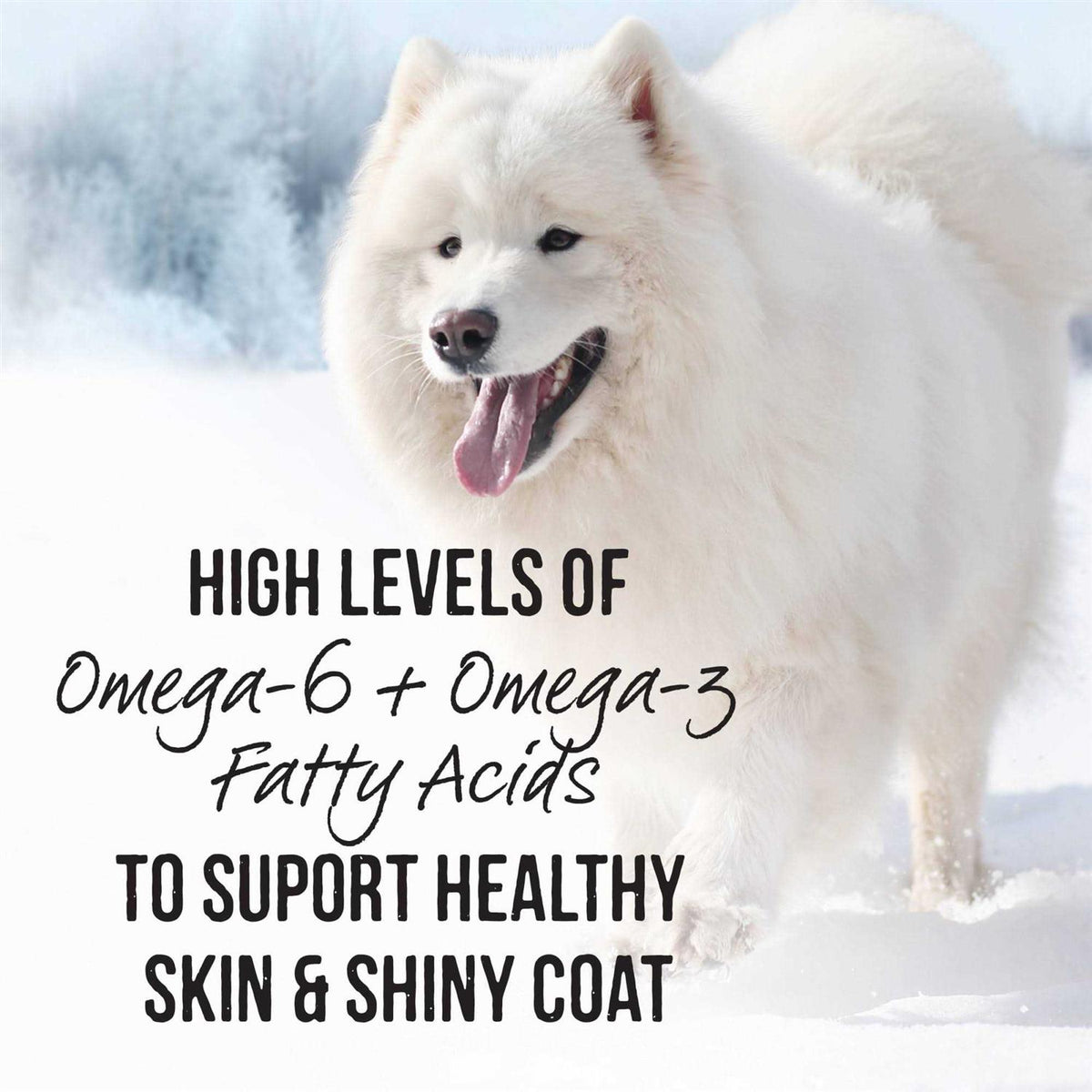 96% Real Beef Grain Free Canned Dog Food G5144