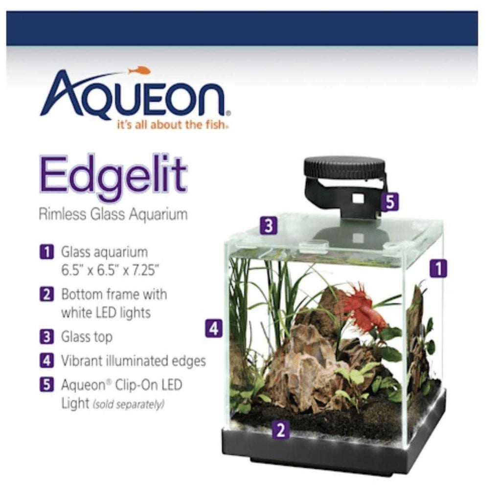 Aquarium Y2699