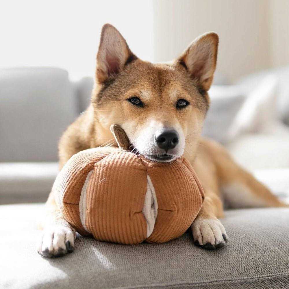 Snuffle Gourd Dog Toy A3713