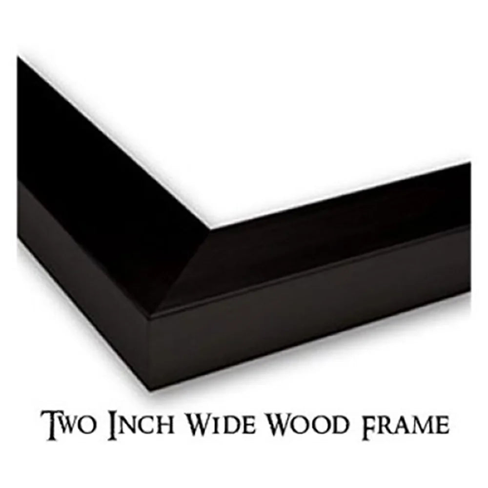 Black Modern Framed Museum Art Print C3885