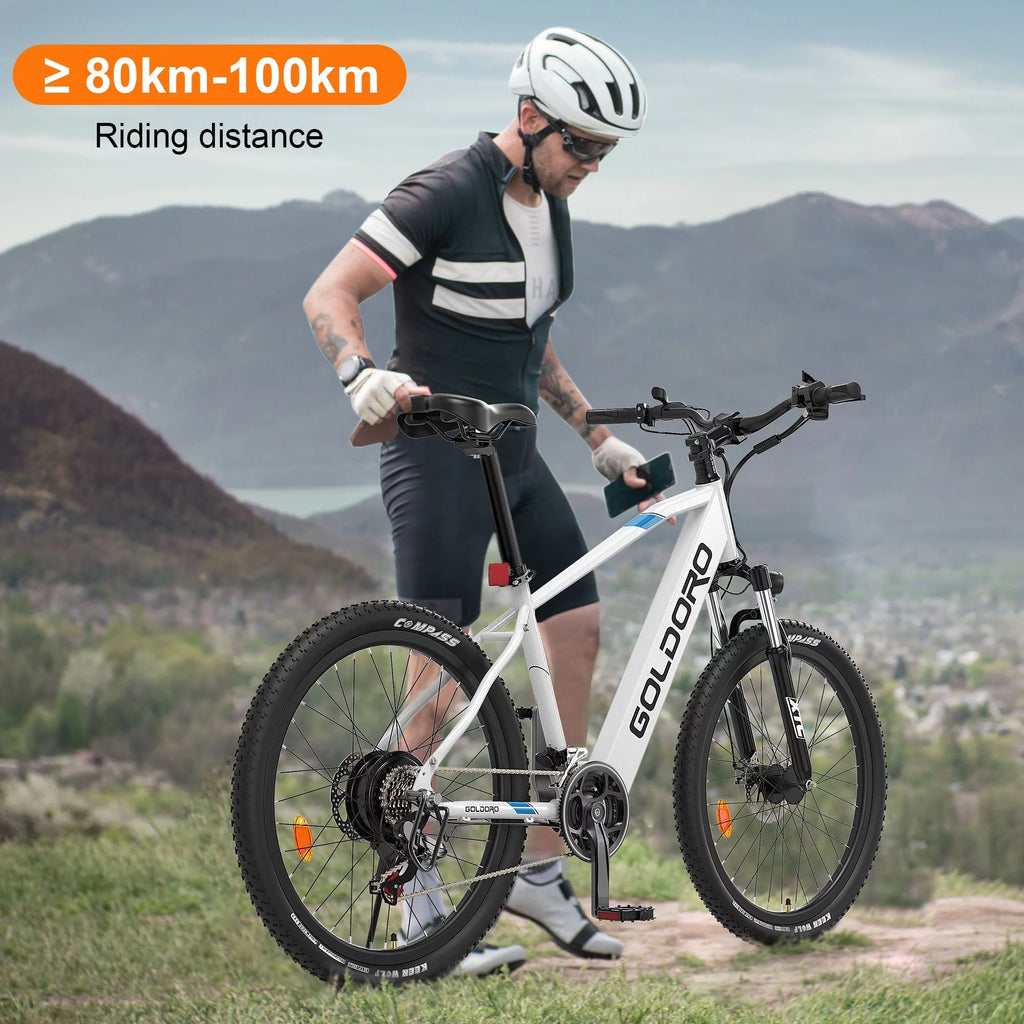 Electric Bike 26" Aluminum Alloy Mountain Bike 250W 21 Speed M9785