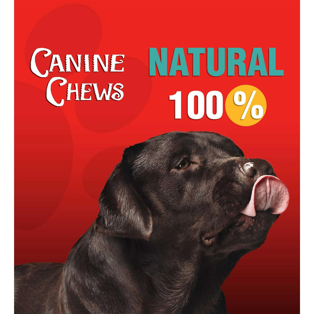 10-11 Dog Rawhide Retriever Rolls Z34714