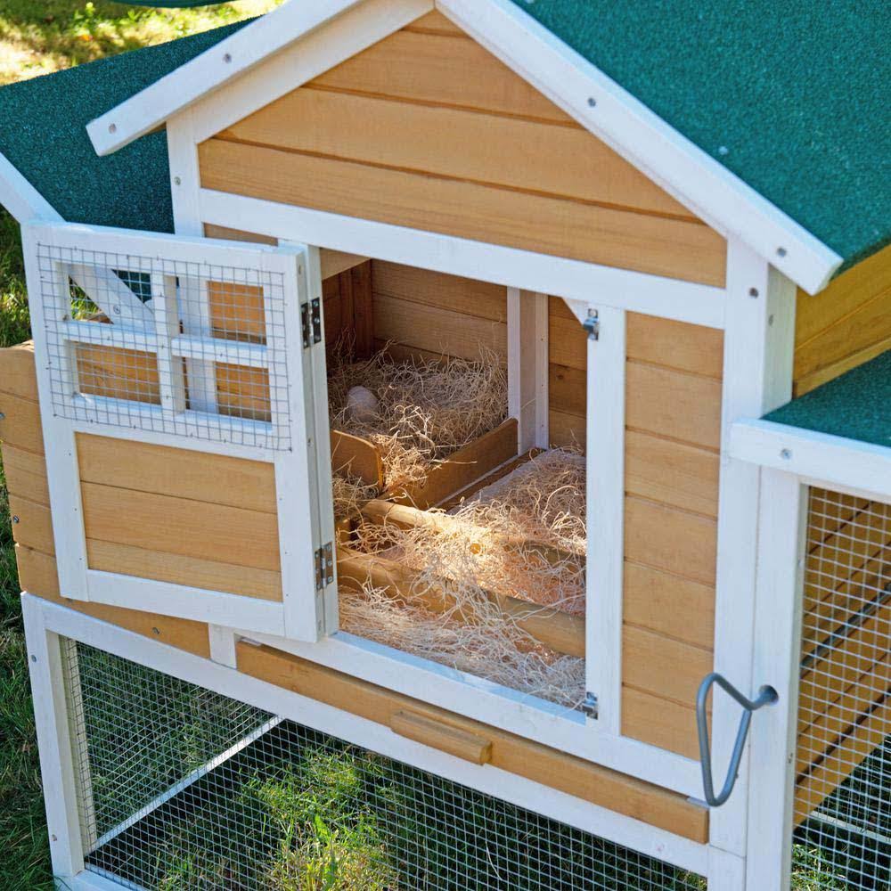 Chicken Coop and Hen House X9869