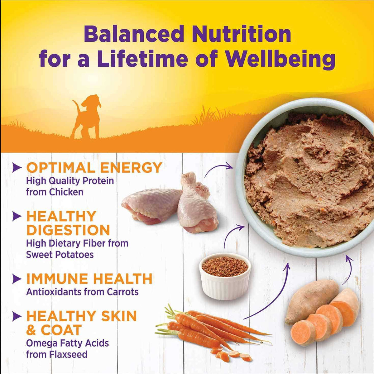 Puppy Food Y404048