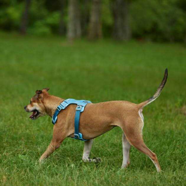 Lightweight Ripstop Nylon Dog Harness O7140
