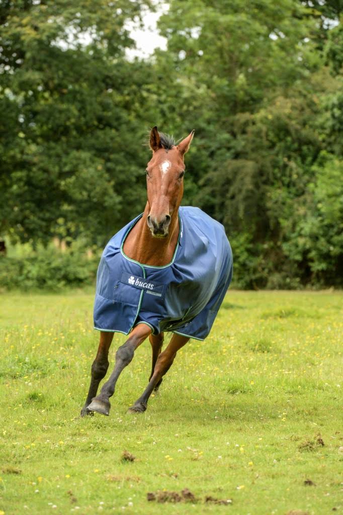 Blue Rain Sheet J4298