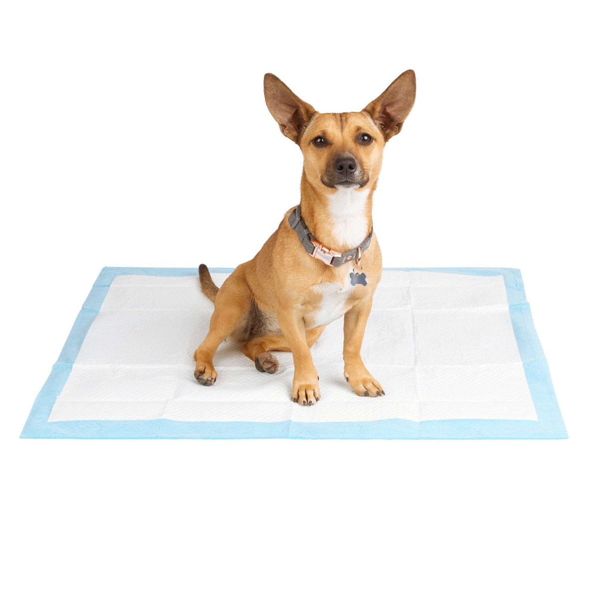 Large Quilted Potty Pads T242