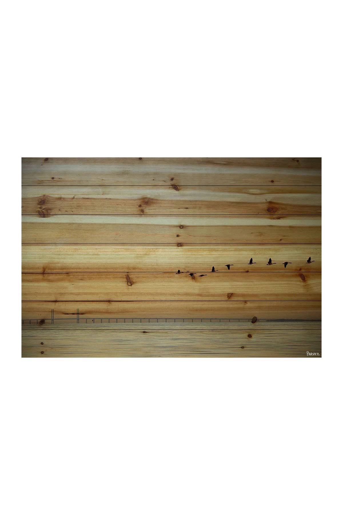 Print on Wood V610
