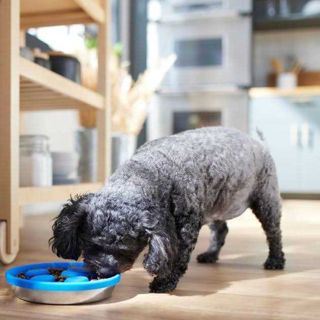 Silicone Stainless Steel Slow Feeder Dog & Cat Bowl C132