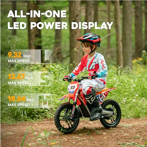 Red Electric Dirt Bike with 12-Inch Off-Road Tires B8237