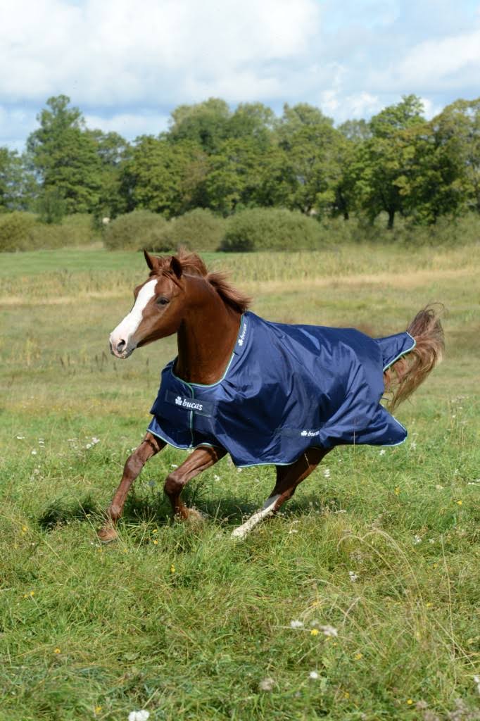 Blue Rain Sheet J4298