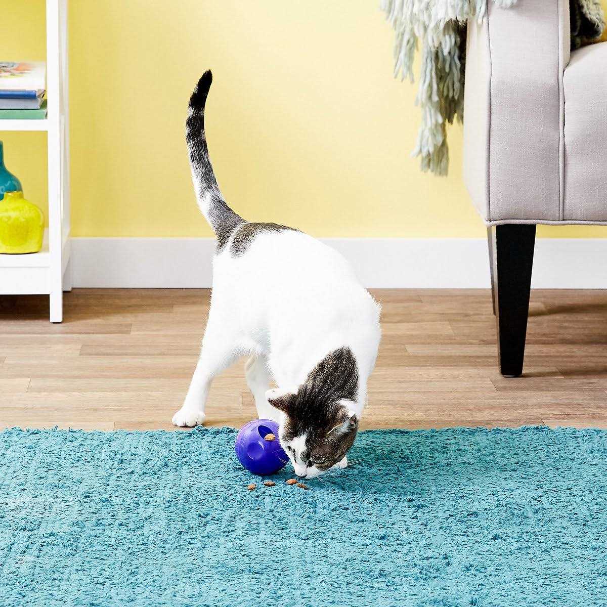 Cat Treat Ball R3198