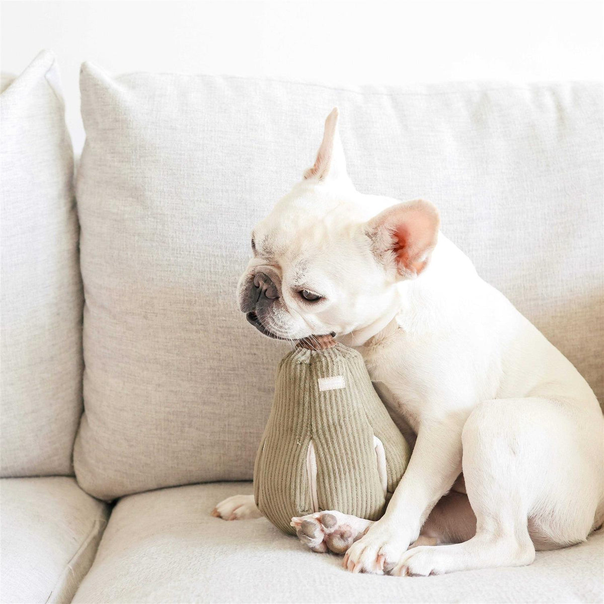 Snuffle Gourd Dog Toy A3713
