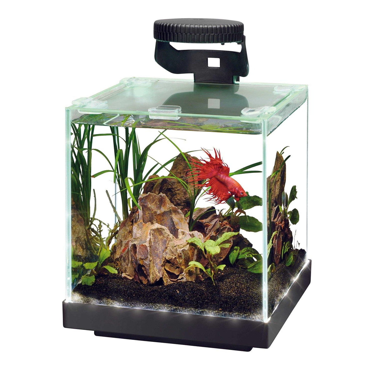 Aquarium Y2699