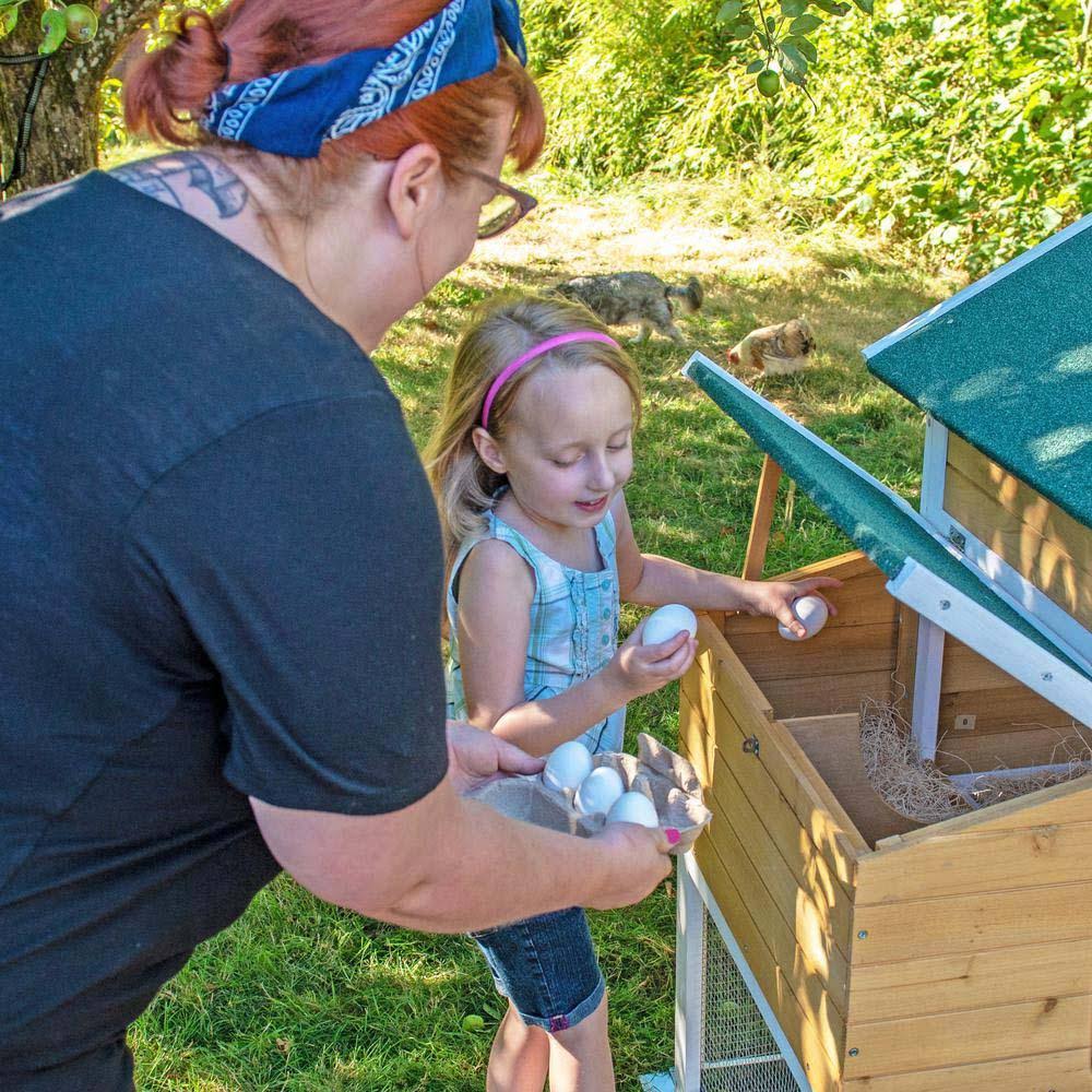 Chicken Coop and Hen House X9869