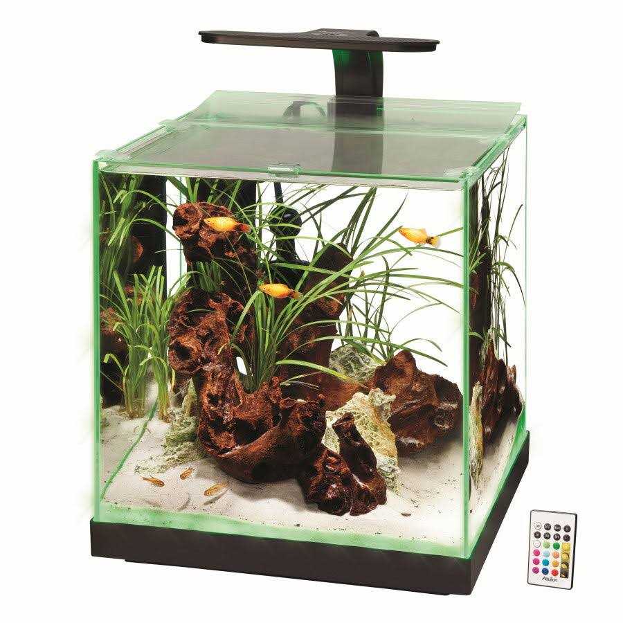 Aquarium Y2699