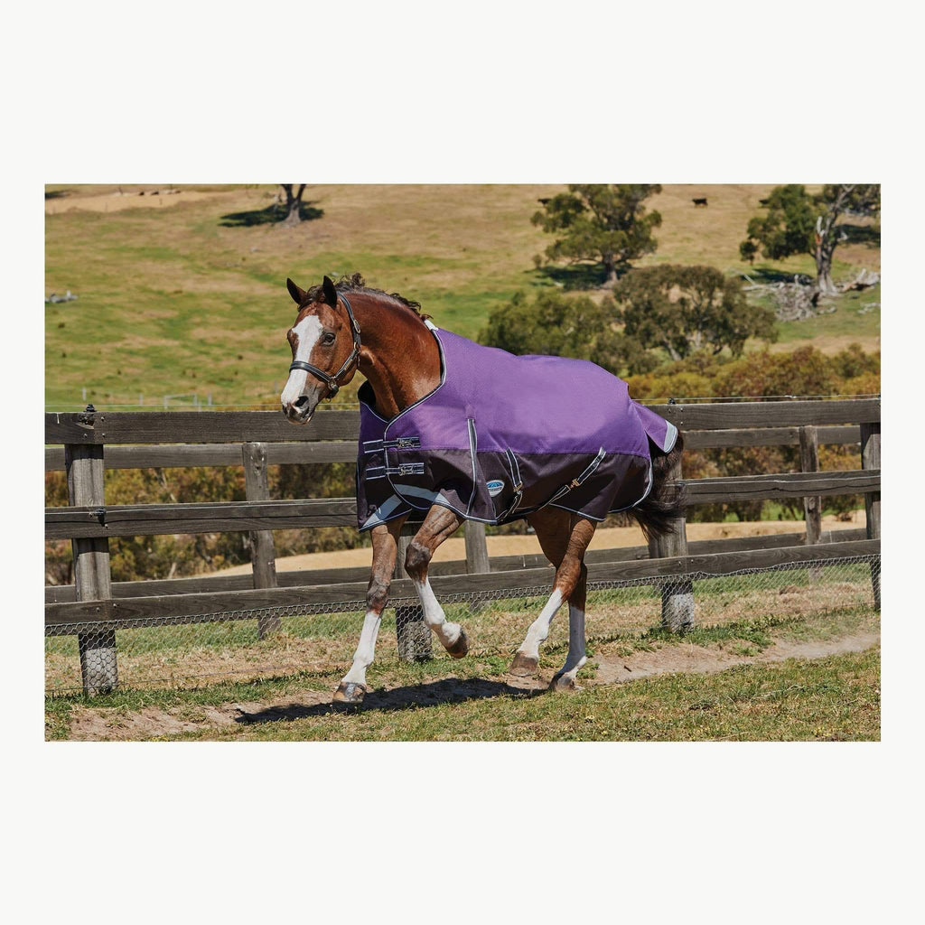 Purple Medium Lite Standard Neck Horse Blanket L38910