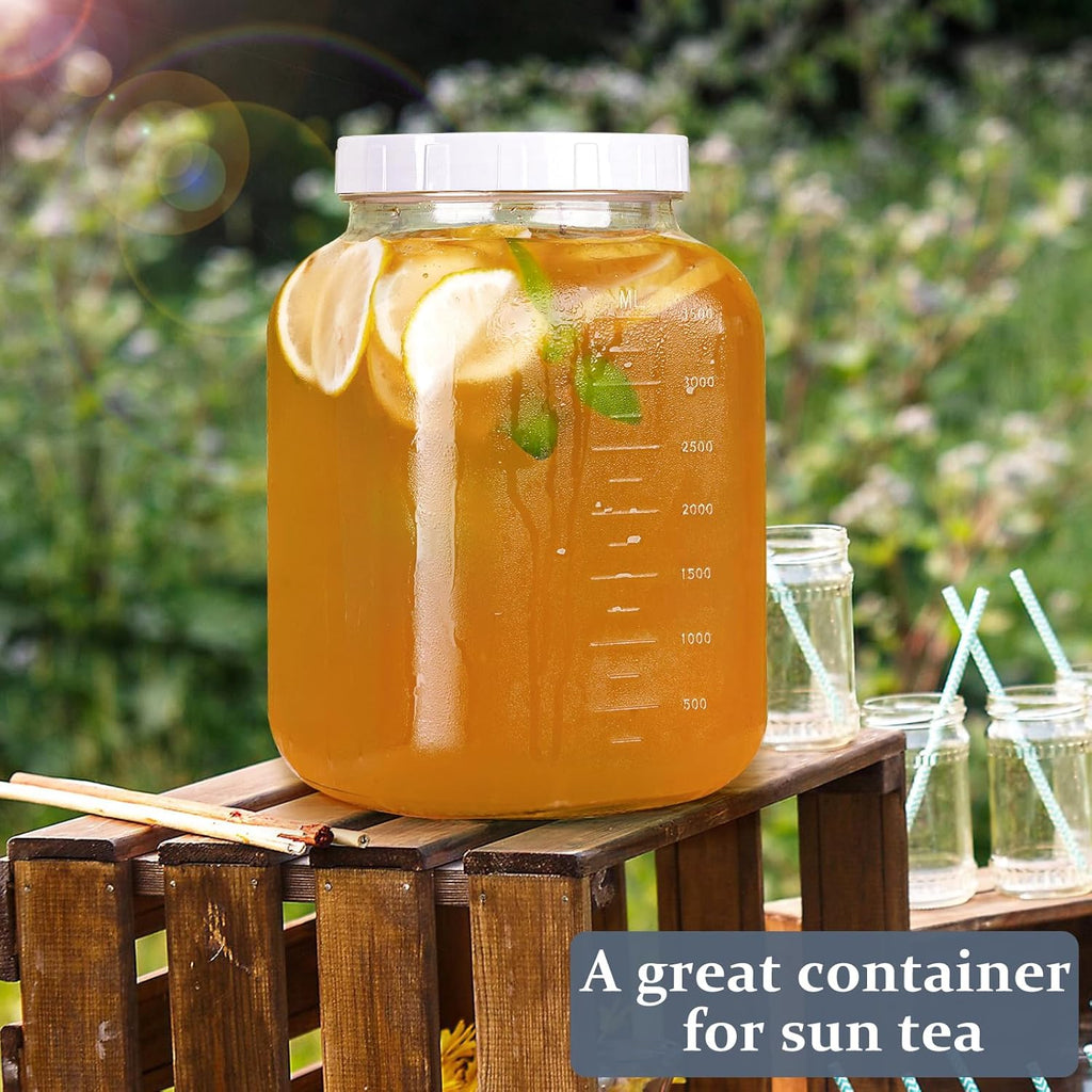 Wide Mouth 1 Gallon Clear Glass Mason Jar with Lid Y810918