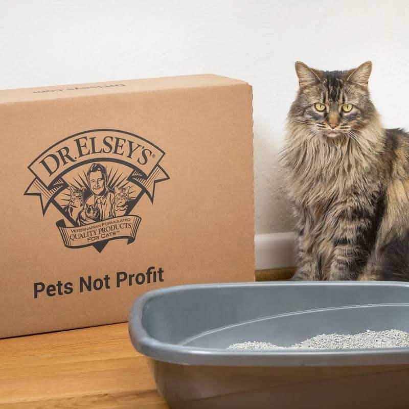 Scented Cat Litter O4537