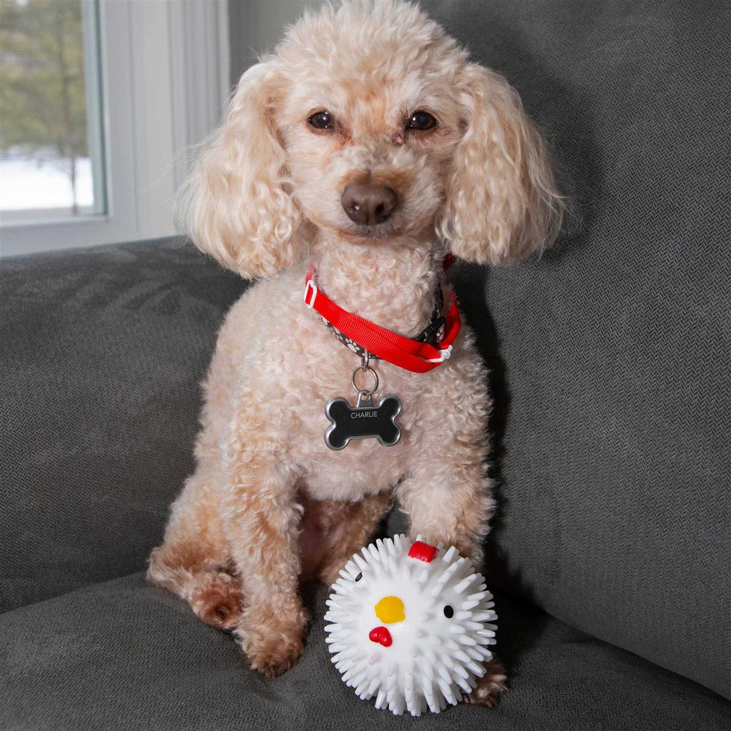 Chicken Dog Ball P684