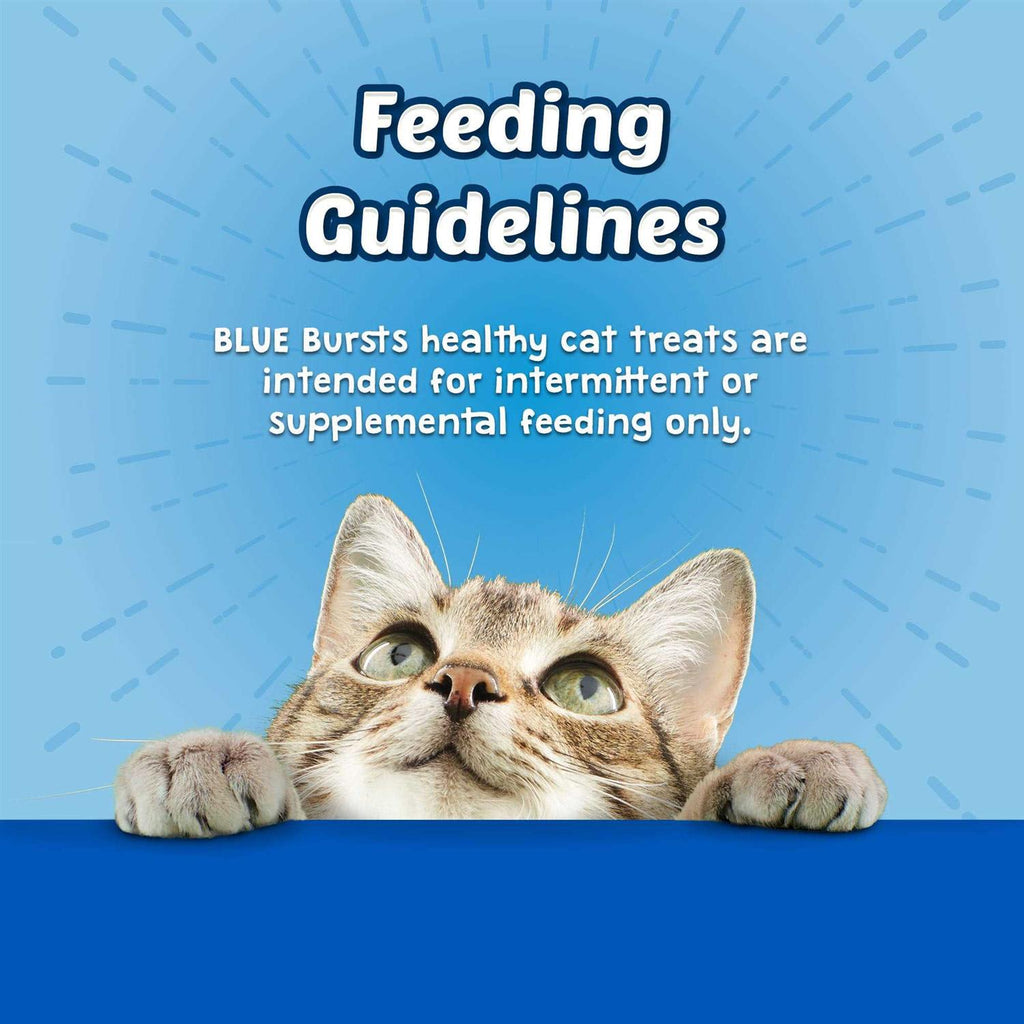 Cat Treats R1669